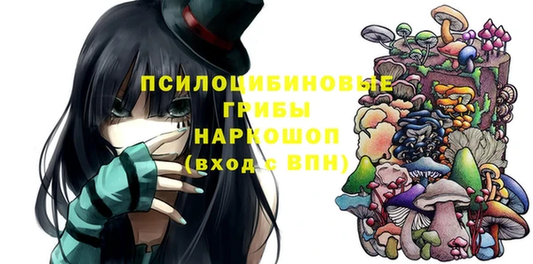 2c-b Белокуриха