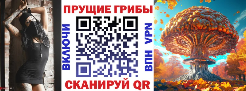 Галлюциногенные грибы прущие грибы  omg   Вельск 